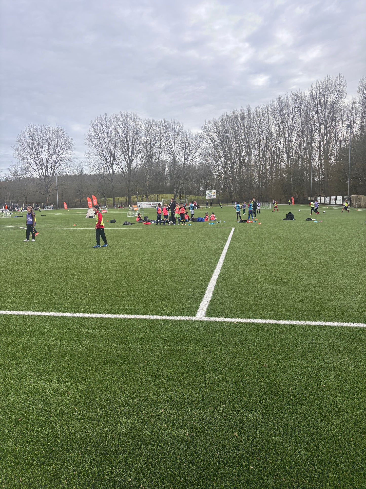 1-on-1 training sessions