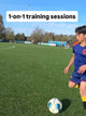 1-on-1 training sessions